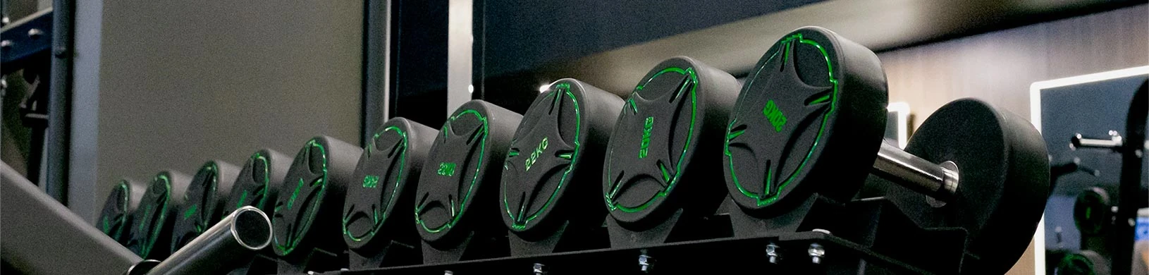 A Hammer Fitness Club